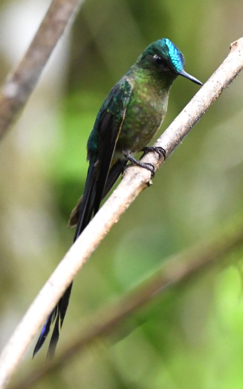 DSC_9705b.jpg