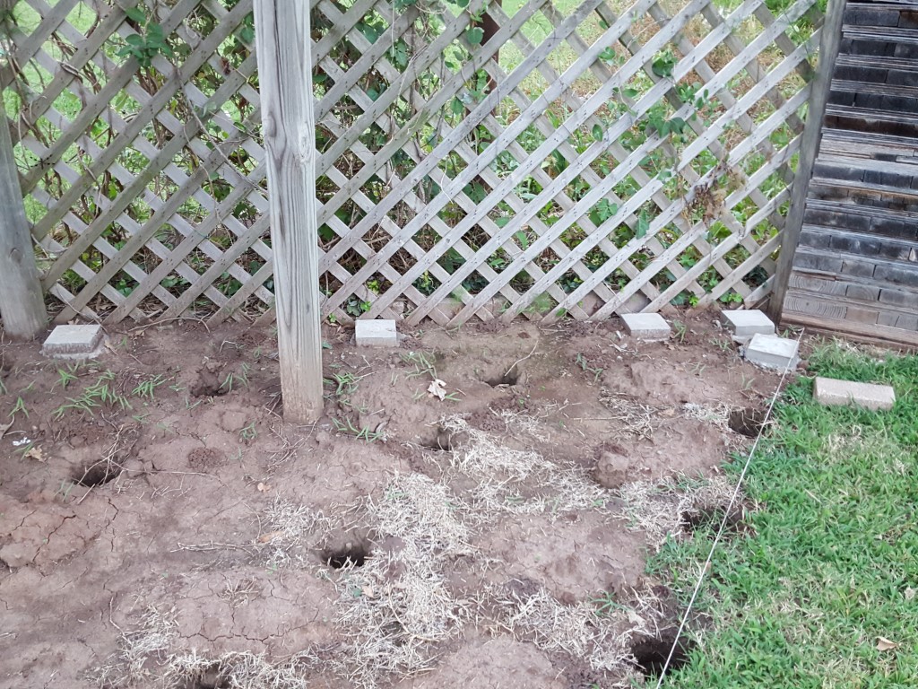 20180803_202934.jpg