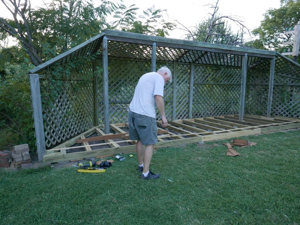 P1020722.jpg