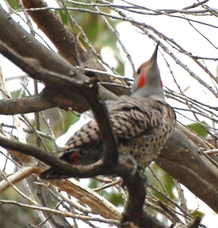 DSC_1894b.jpg