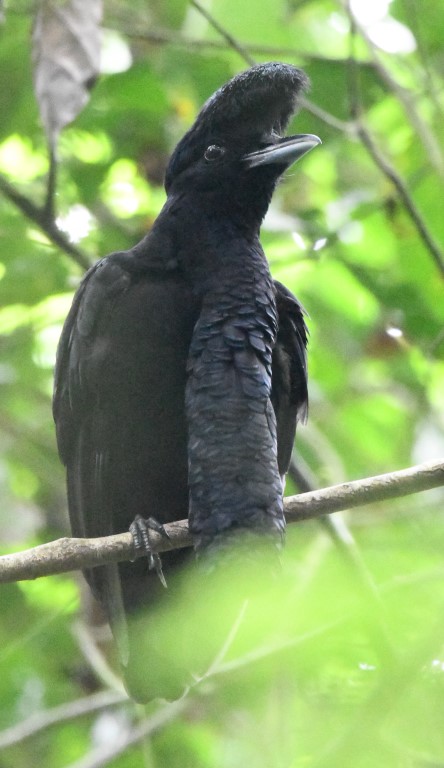 DSC_1036b.jpg