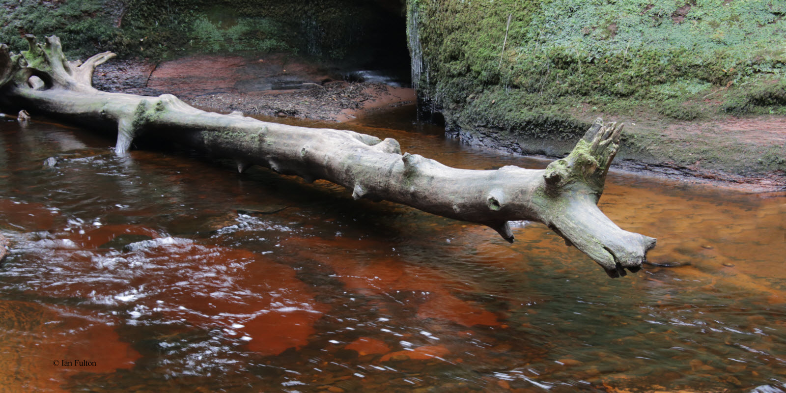 In the gorge by the Devils Pulpit