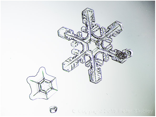 Snowflake.