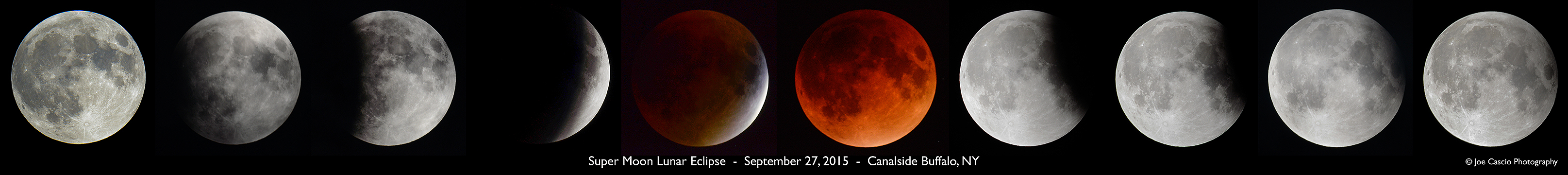 2015_Super_Moon_Eclipse_jcascio.jpg