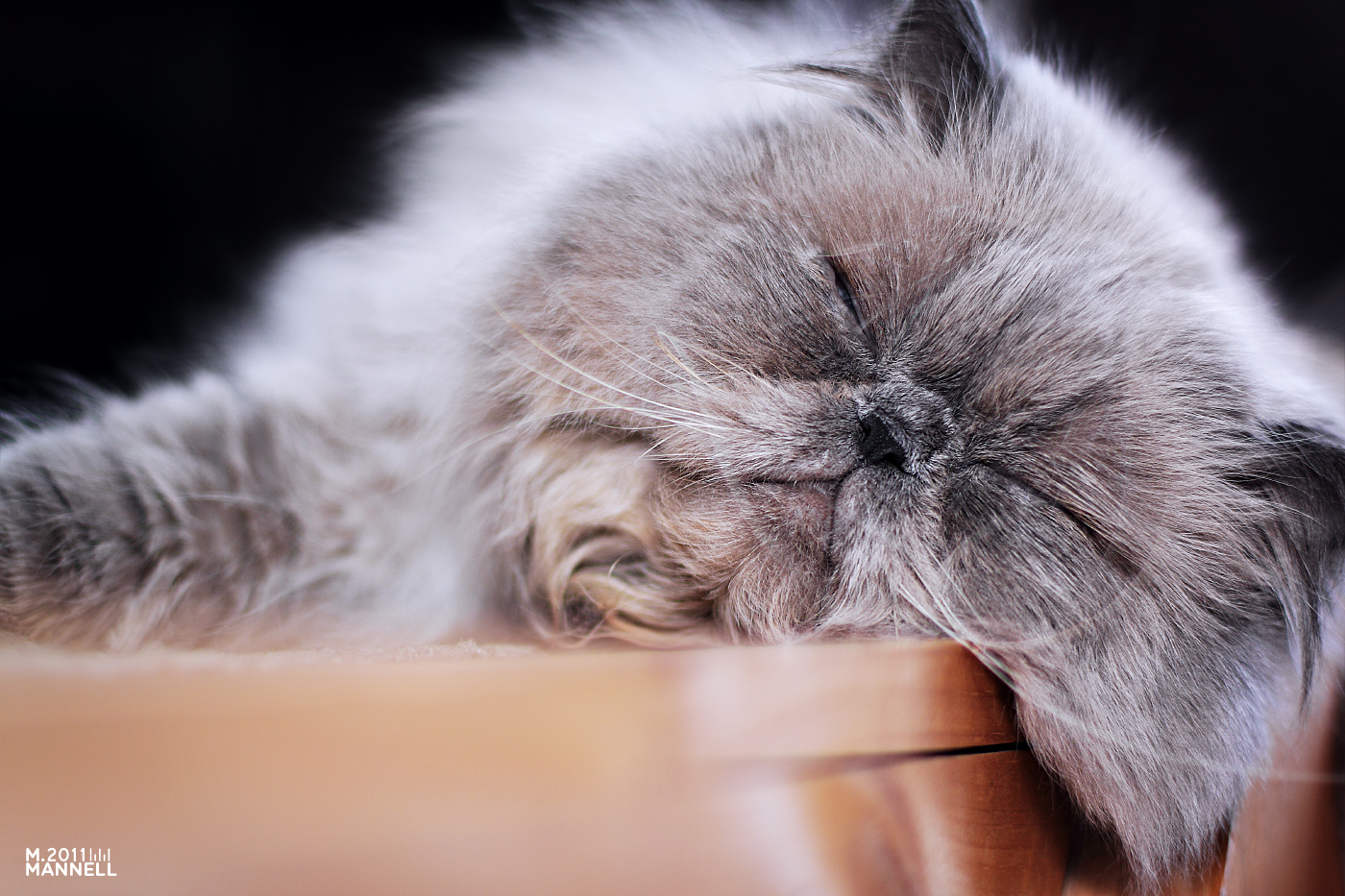 Step Slept