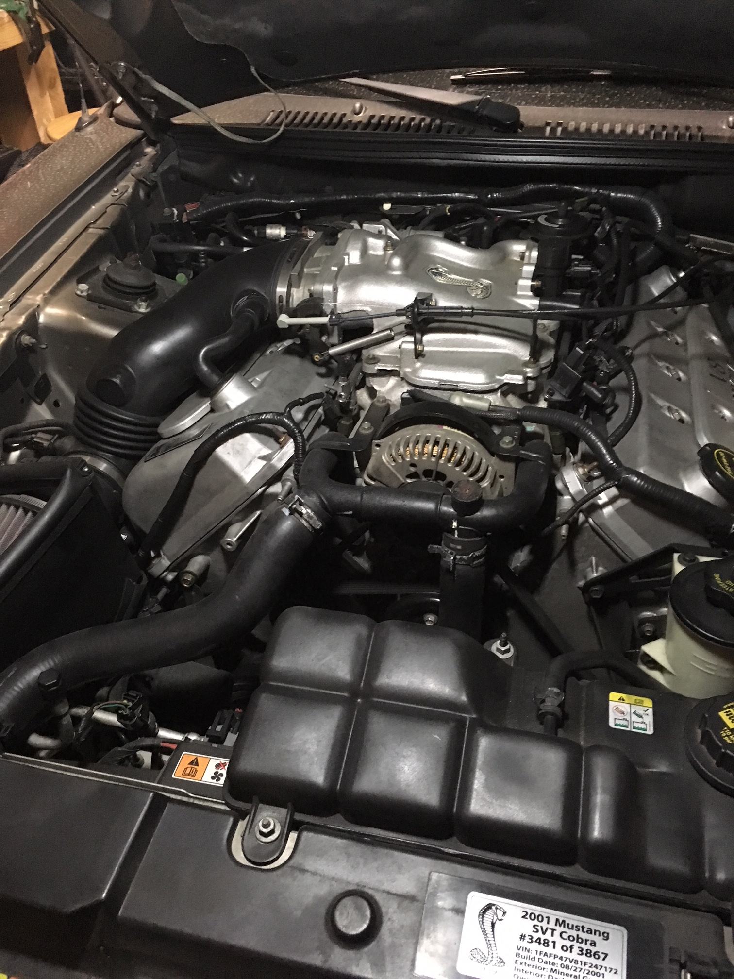 2001 Cobra motor