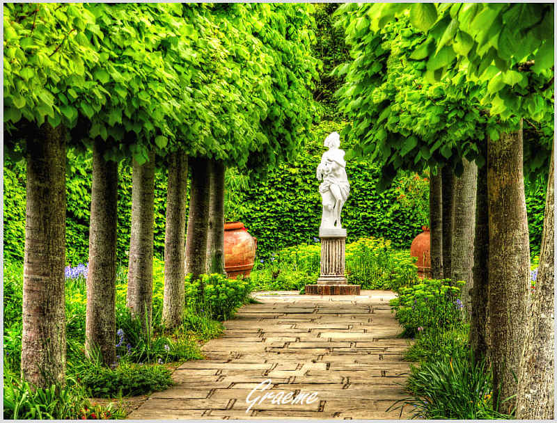 The Lime Walk