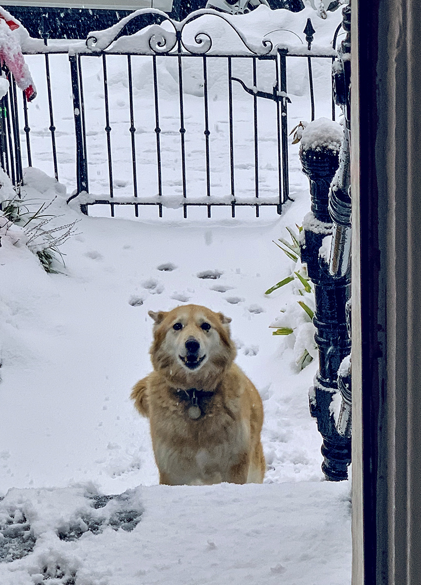Walk? Walk?