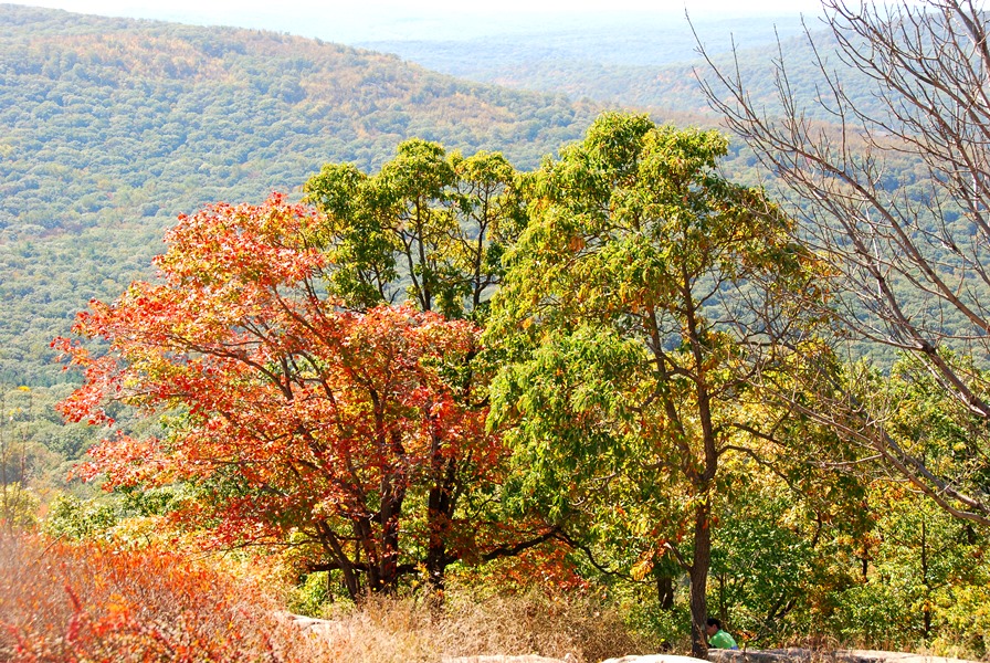 View from Perkins Point