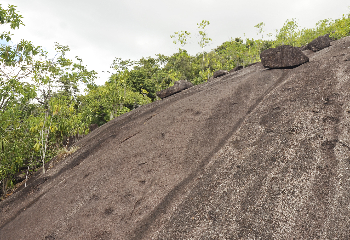 Anse_major_habitat.4.jpg