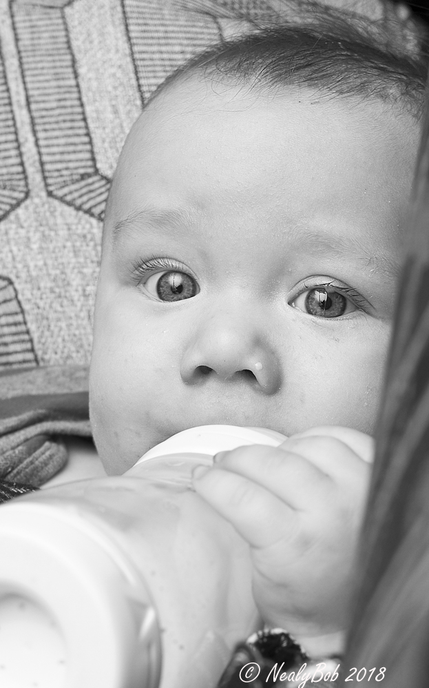 Julien 