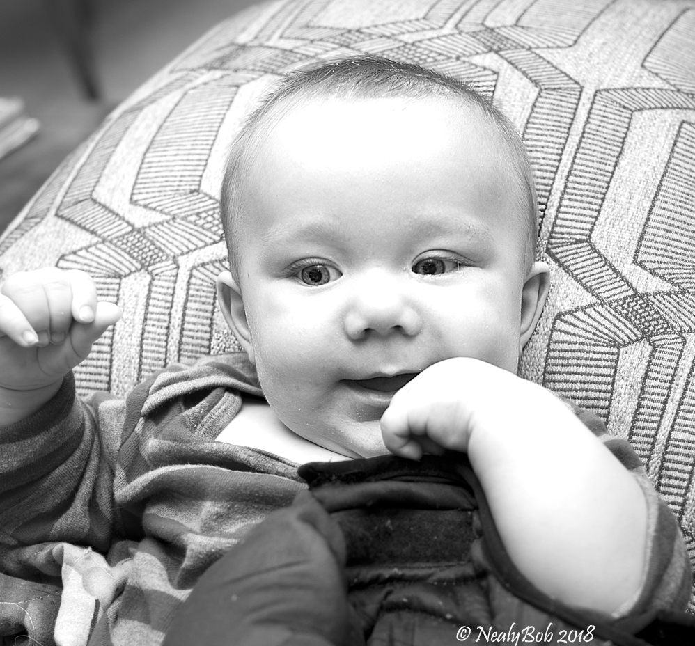 Julien