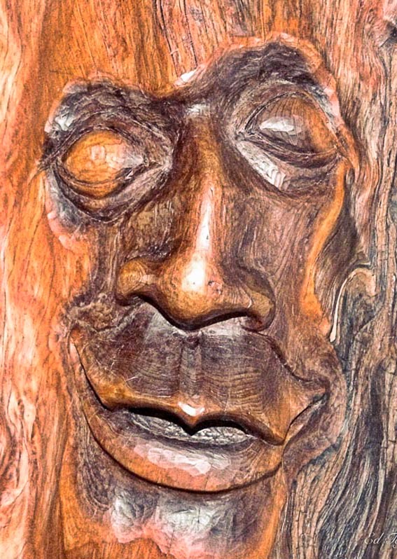 Ed Taje wooden_face