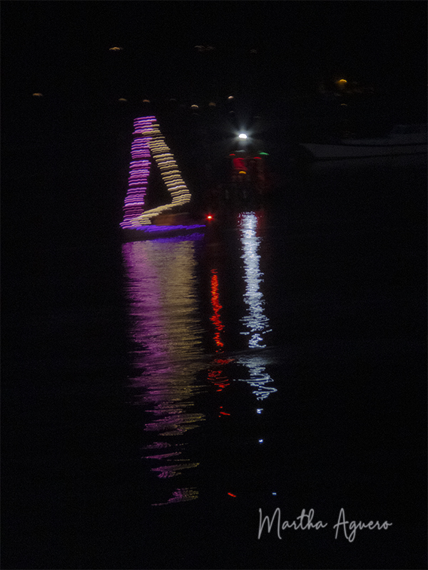 Martha Aguero  Christmas Sail