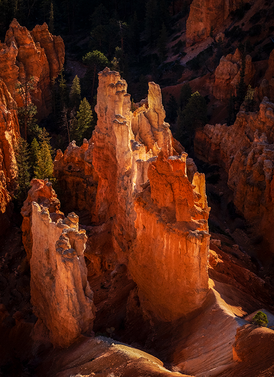 Sunrise Canyonland NP_6907.jpg