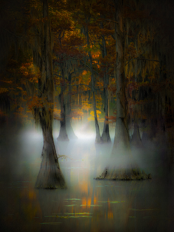 Foggy Morning - Caddo Lake TX.jpg