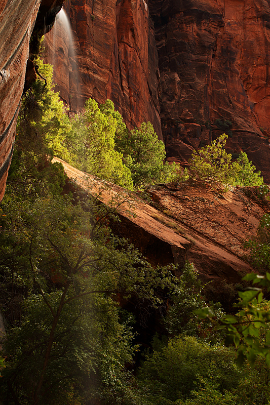 The Ever Changing Light of the Canyon