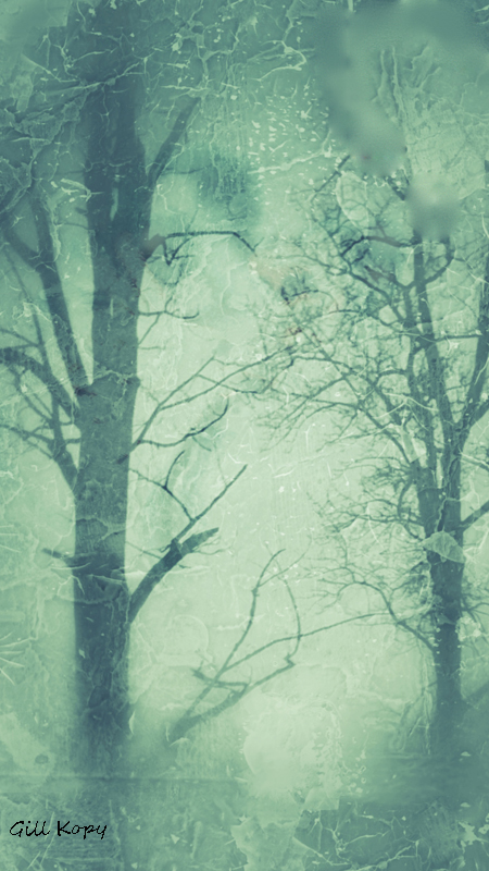Grungy_Trees