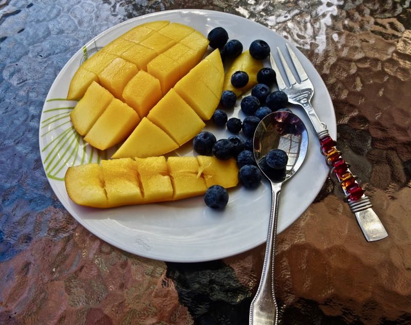 Breakfast - mango and blueberries in the courtyard
