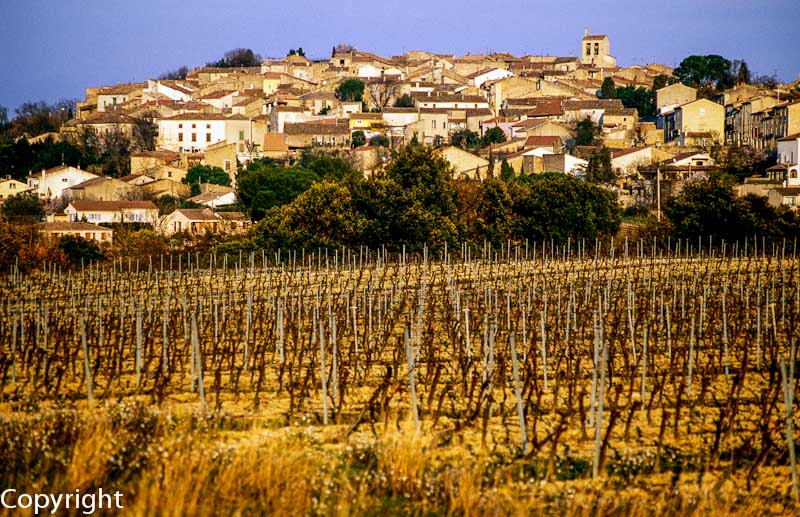 The Languedoc town of Magalas, surrounded by vineyards