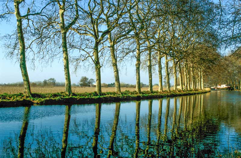 Canal du Midi, Reflections on a still morning in early Spring, near Pezenas