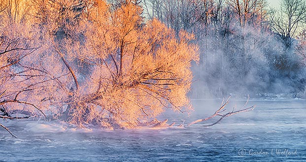Frosty Fallen Tree In Sunrise Mist P1370979-85