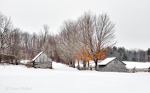 Winter Farmscape P1050856