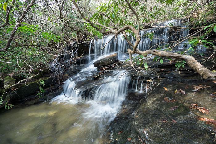 Cannon Creek Falls 1