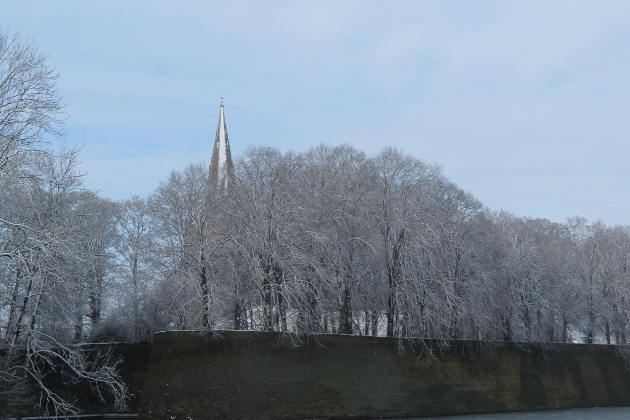 IMG_7897.JPG