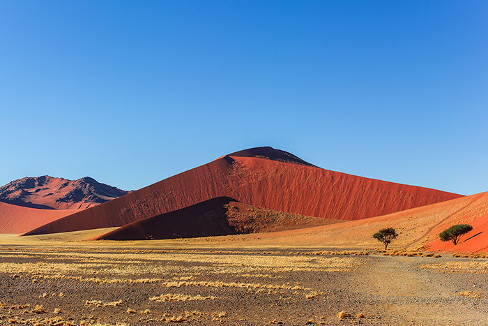 The dunes