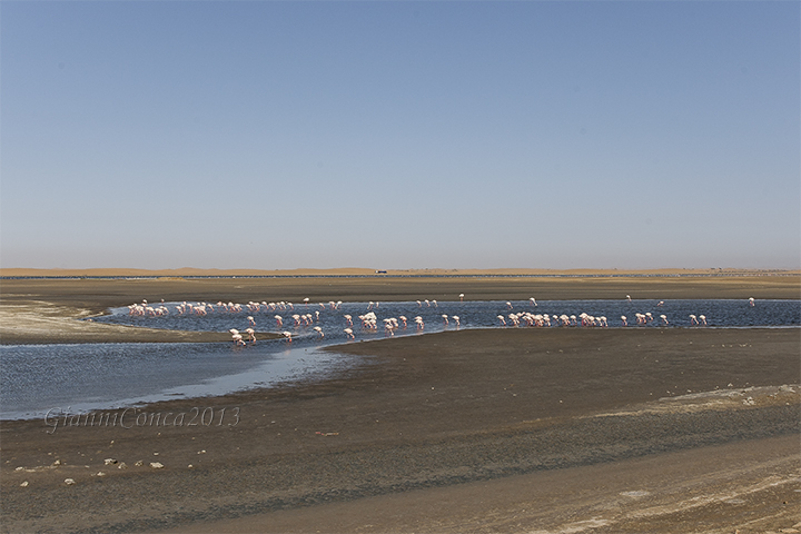 Walvis Bay