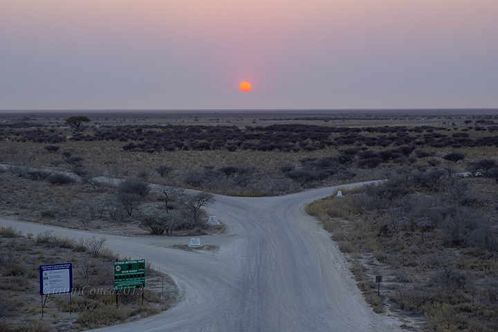 Etosha N. P.