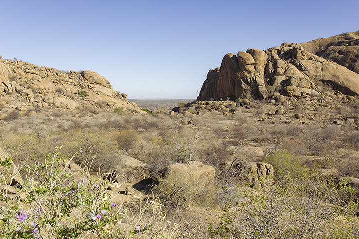 Erongo