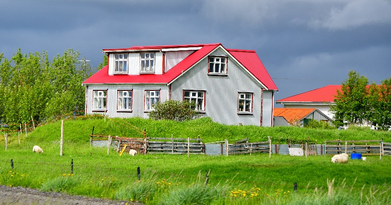 Icelandic home and farm, Iceland 238