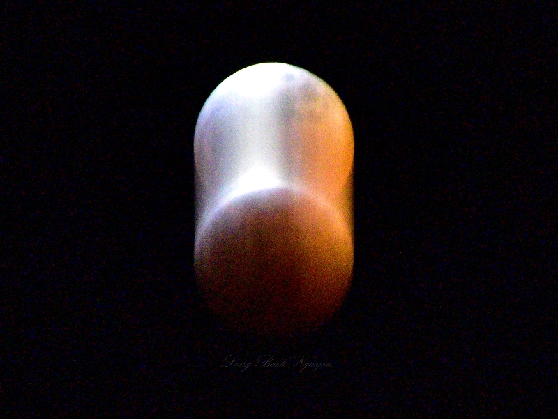 Super Blood Wolf Moon Eclipse of 2019, Seattle, Washington State 200