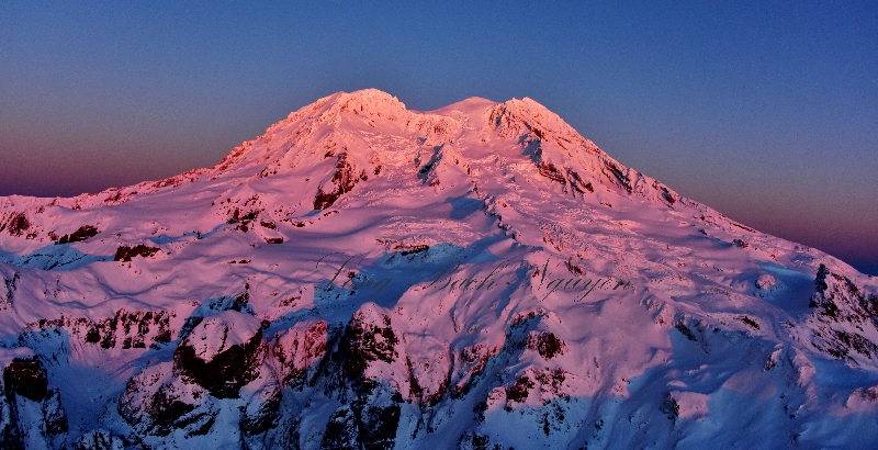 Pink Mt Rainier National Park, Washington 451