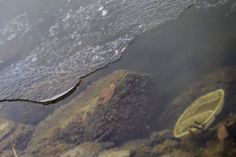 Receding Ice