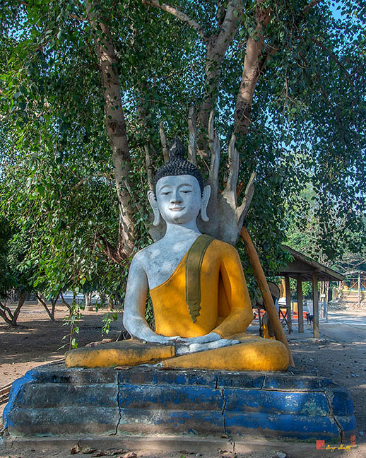 Wat Pa Chedi Liam Buddha Image Shrine (DTHCM2686)