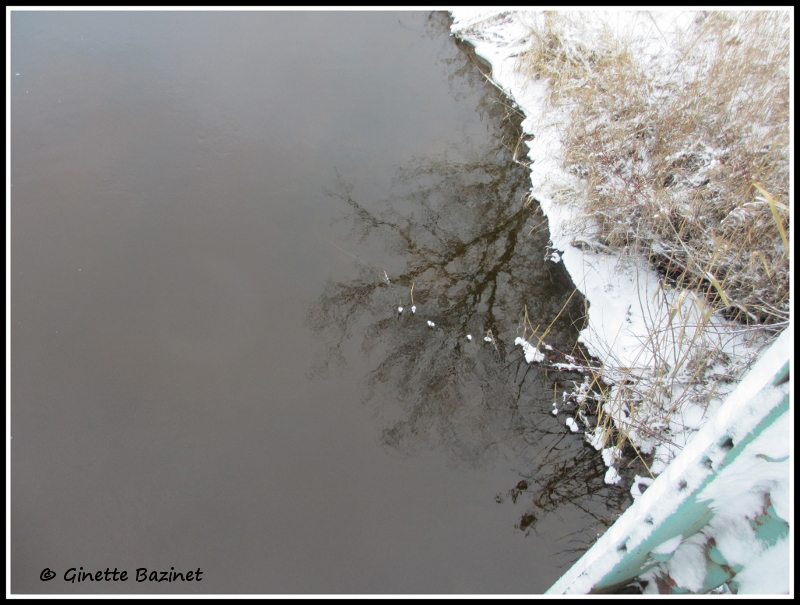 Quand le mercure descend et que la neige recouvre ta rive, tu fais frissonner le mirage des arbres.