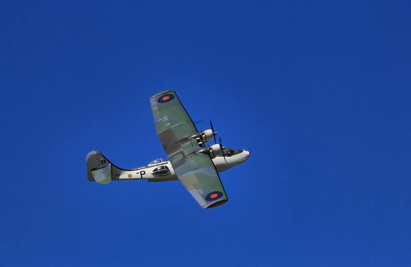 PBY-5A Canso 
