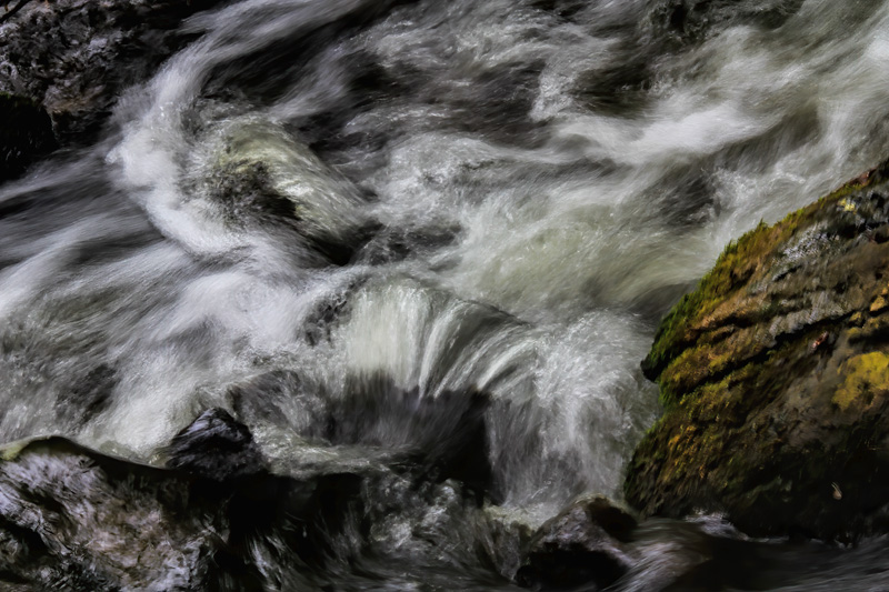 Wild Water 