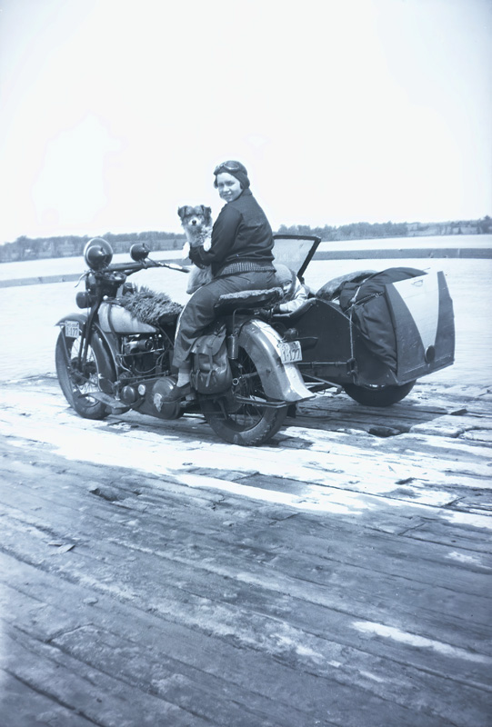 Bike with Sidecar and Dog 