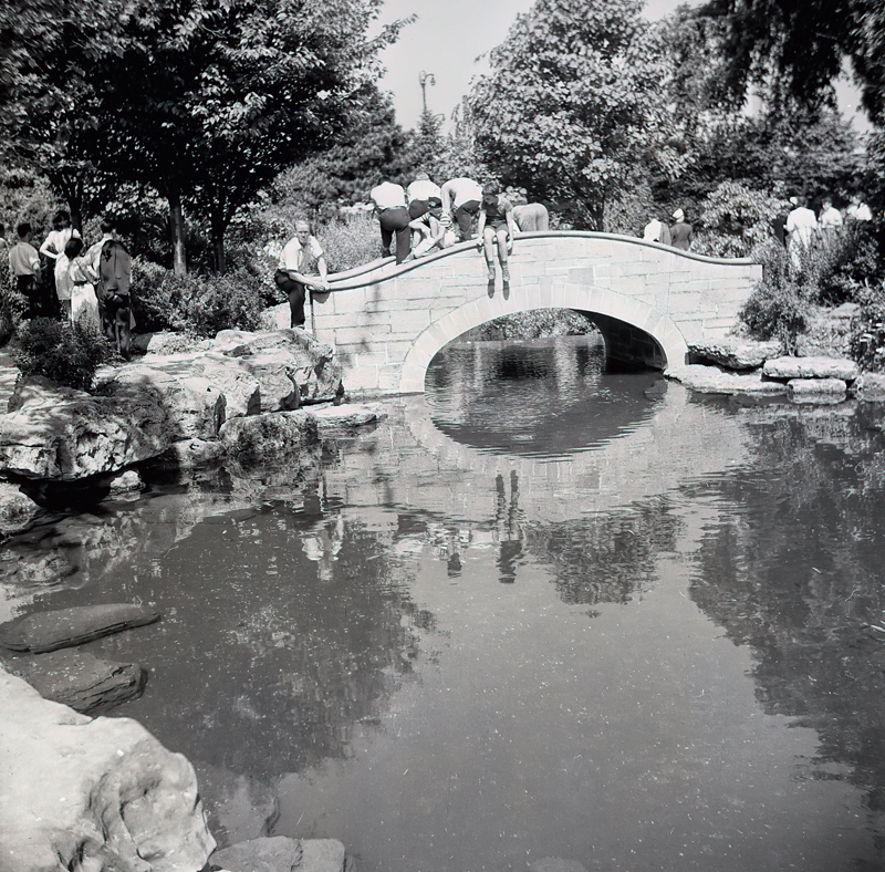 Summers Day in the Gardens 