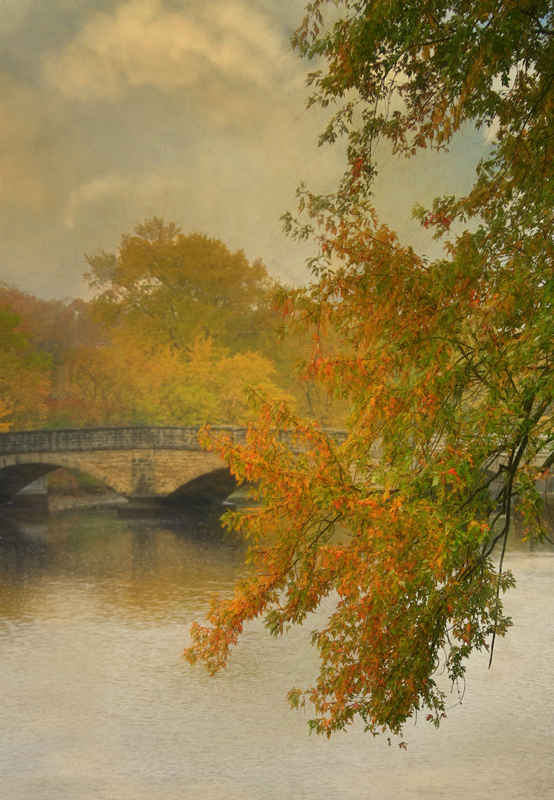 Fall on the Speed River  