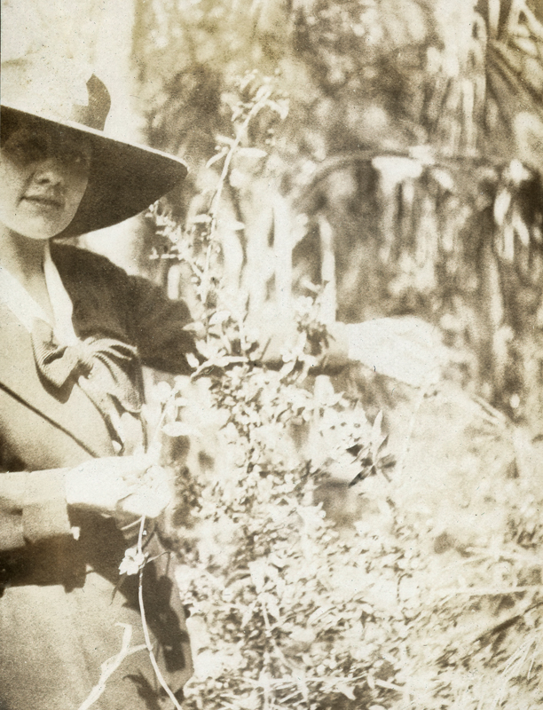 Lady in the Garden  