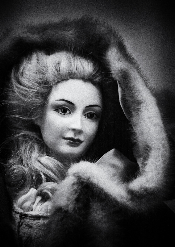Doll  