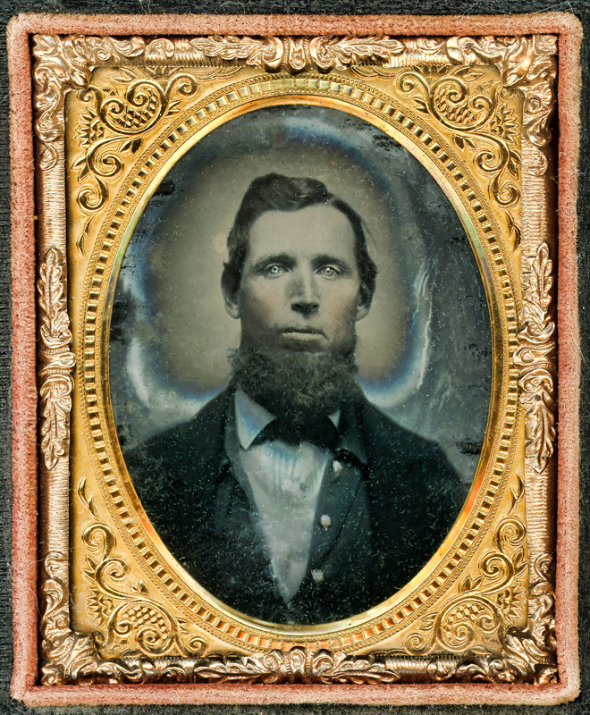 Bearded Gentleman 