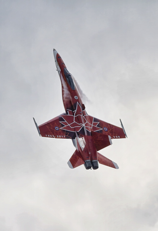 Climbing Hornet  