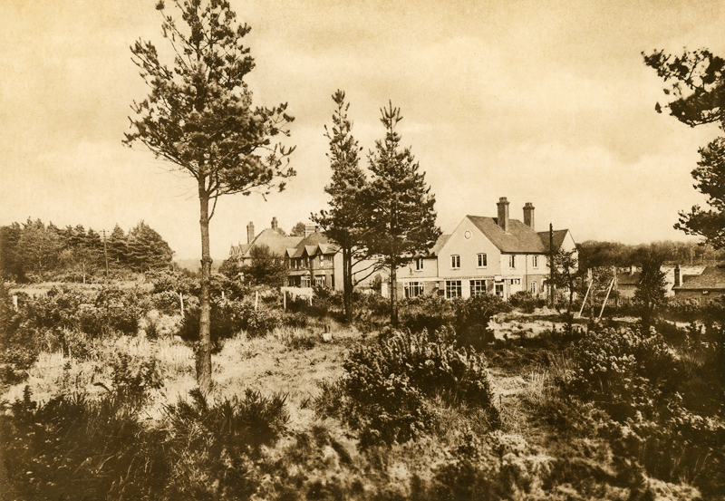 Bramshott Chase  
