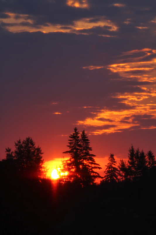 Sunrise 